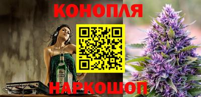 сатива Обь