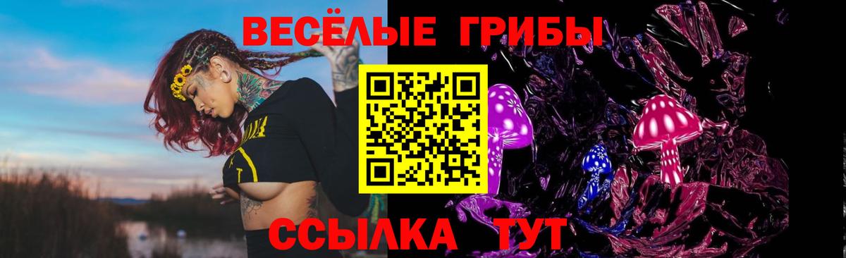 дарнет шоп  Вход с VPN  Дюртюли  Галлюциногенные грибы Cubensis 